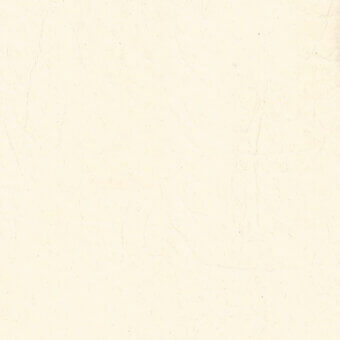 Aged paper texture with subtle yellow and off-white tones, displaying irregular lines and a matte, distressed surface pattern.